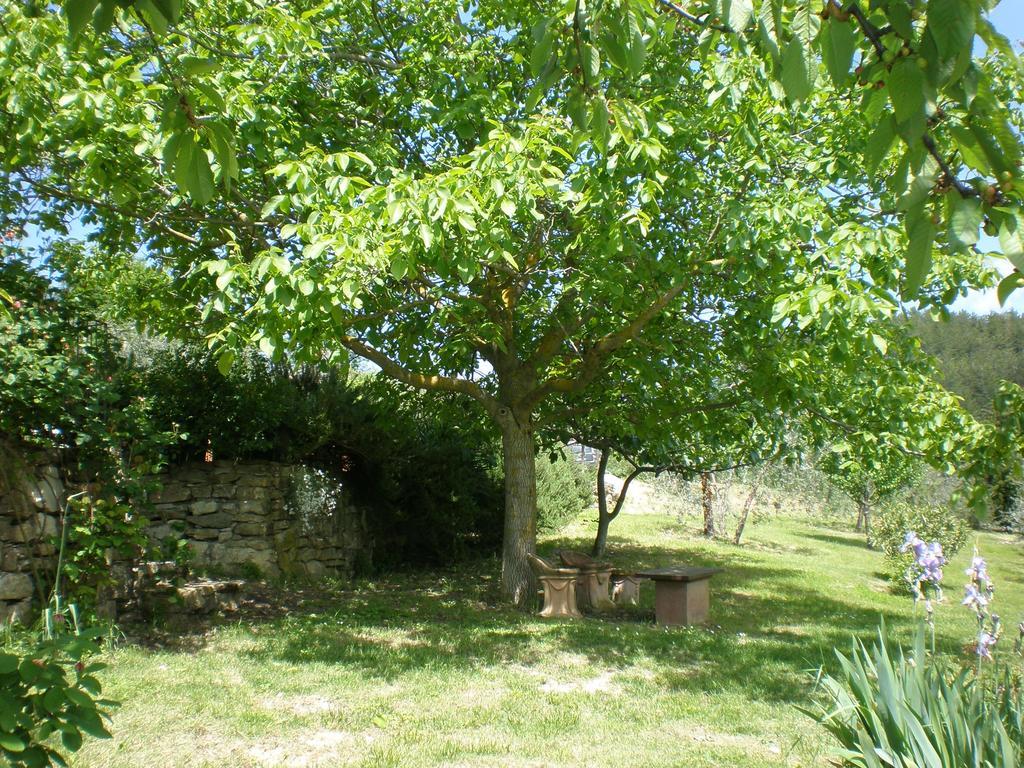 Agriturismo Podere Torre Greve in Chianti Exterior photo